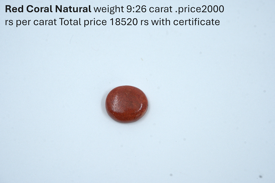 Natural Red Coral – 9.26 Carat with Certificate | Premium Italian Moonga Gemstone