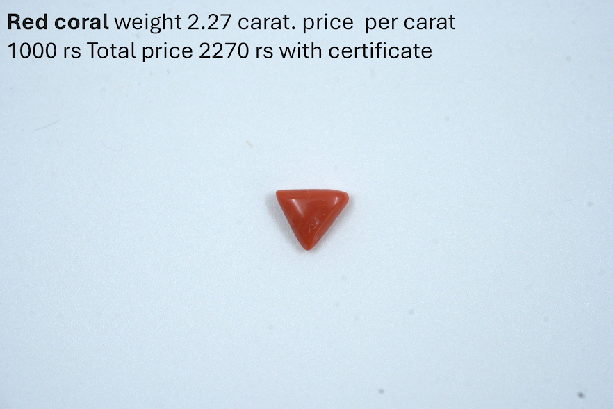 Natural Red Coral – 2.27 Carat with Certificate | Premium Moonga Gemstone