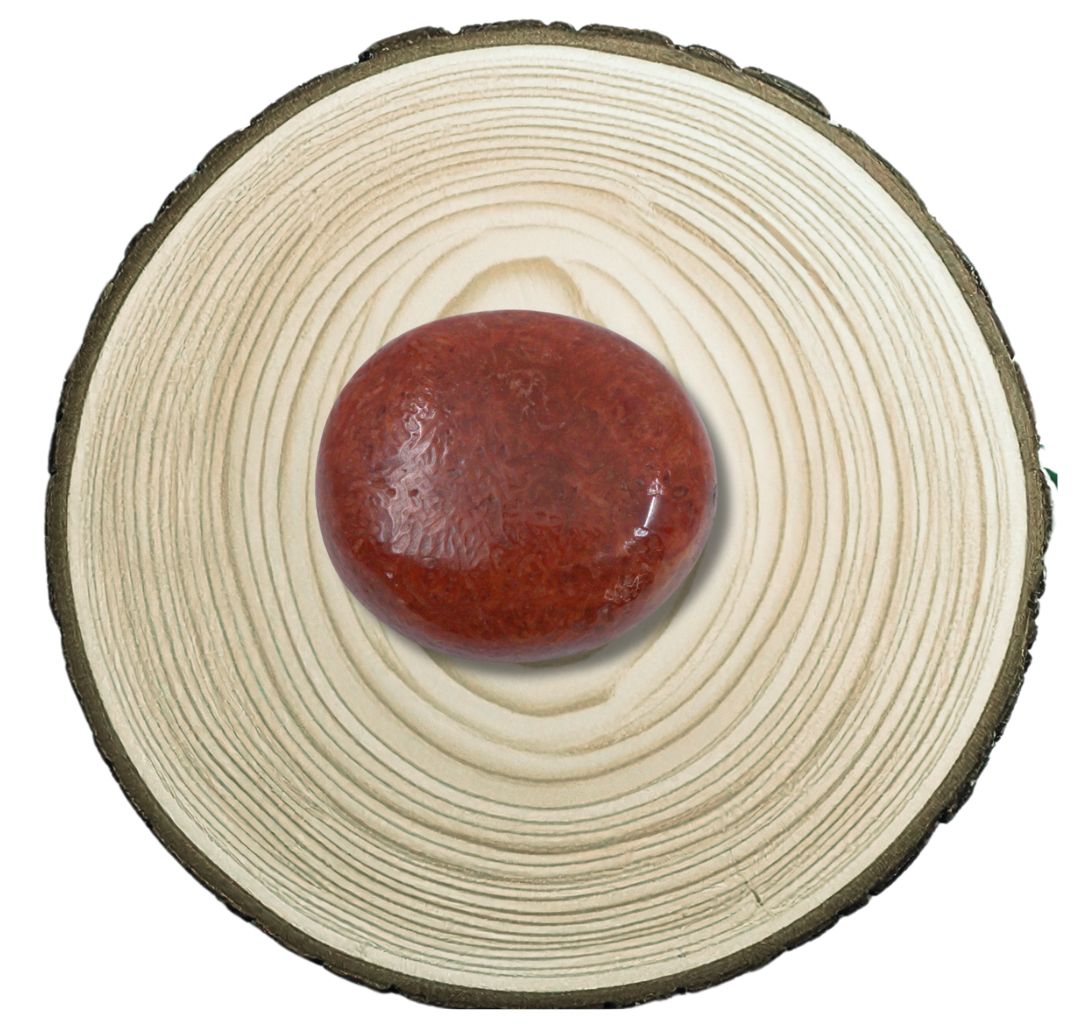 Natural Red Coral – 9.26 Carat with Certificate | Premium Italian Moonga Gemstone