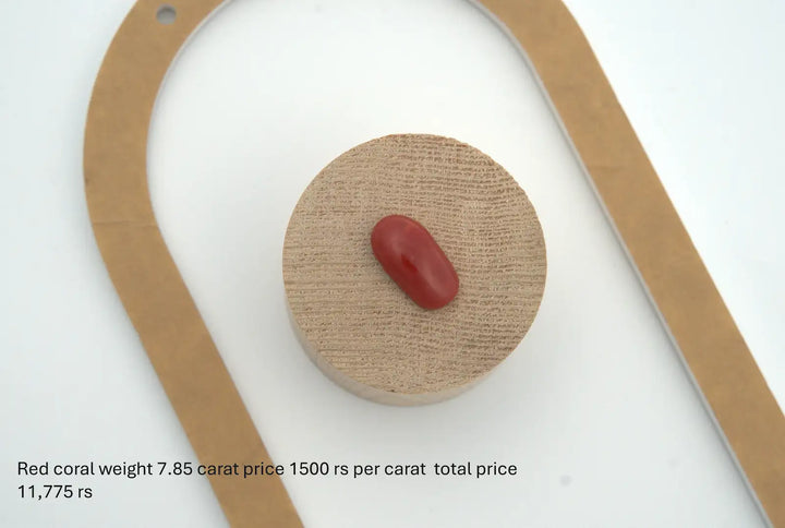 Natural Red Coral Oval-Shape Loose Gemstone – 7.85 Carats
